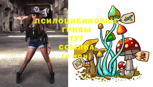 сатива Белоозёрский