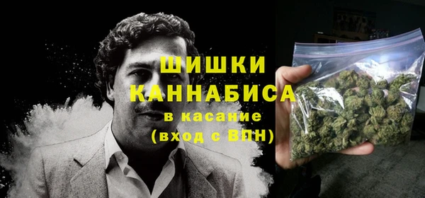 сатива Белоозёрский