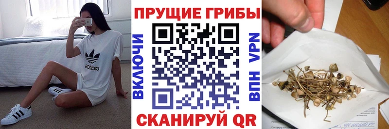Галлюциногенные грибы Cubensis  МЕГА рабочий сайт  Чаплыгин  закладки 